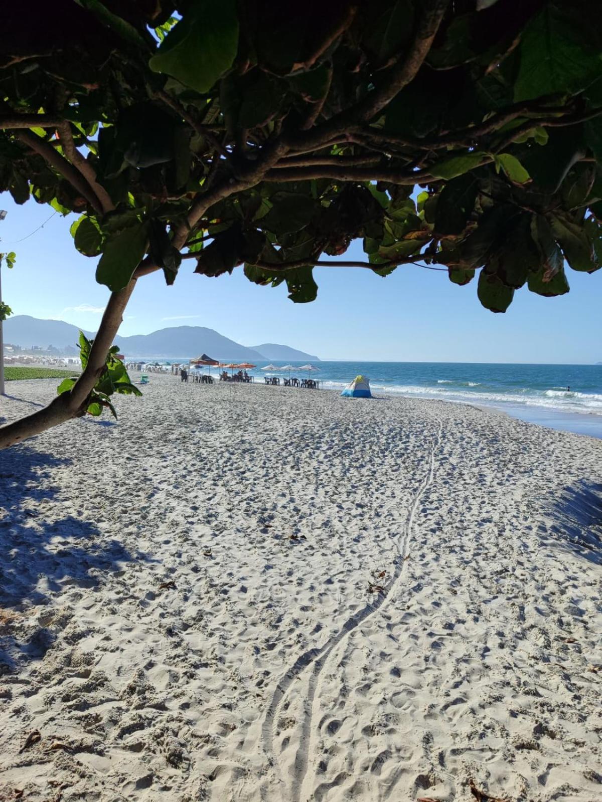 Apartamento De 2 Dormitorios Florianópolis 外观 照片